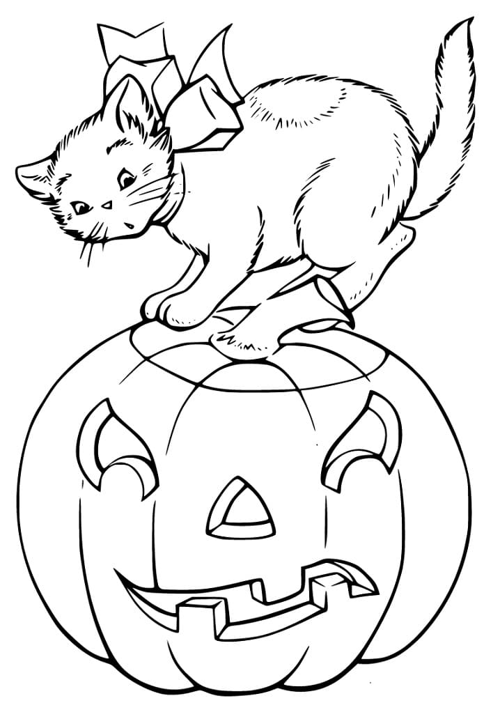 Hallween Cat 10