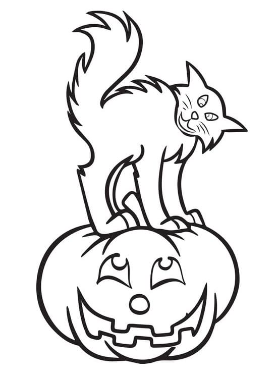 Hallween Cat 11 Coloring Game Hallween Cat 11