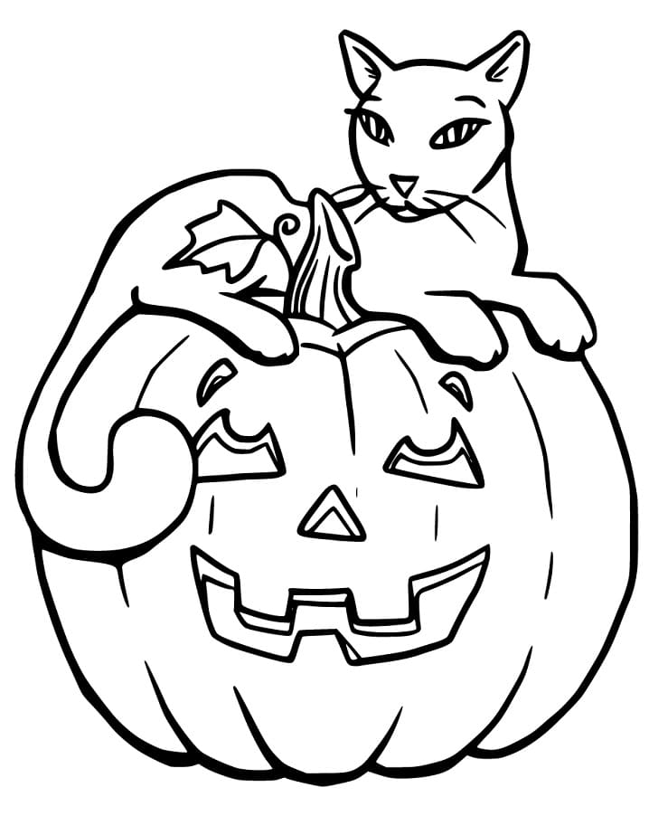 Hallween Cat 4 Coloring Game Hallween Cat 4