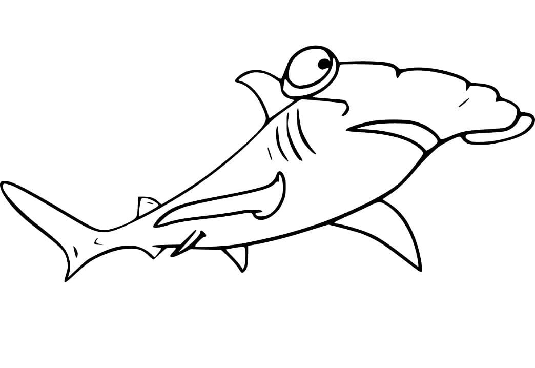 Hammerhead Shark 2 Coloring Game Hammerhead Shark 2
