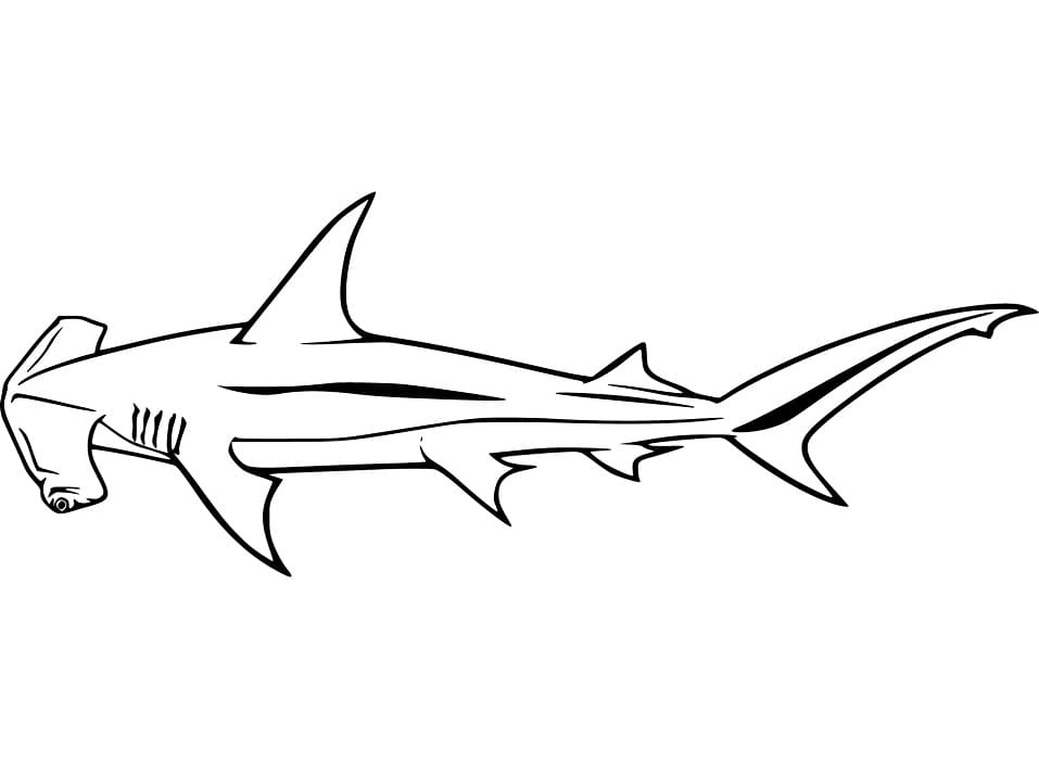 Hammerhead Shark 4 Coloring Game Hammerhead Shark 4