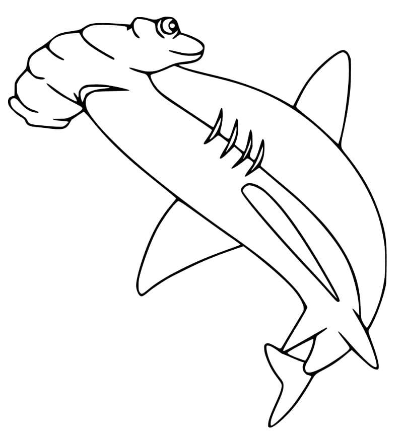 Hammerhead Shark 5 Coloring Game Hammerhead Shark 5