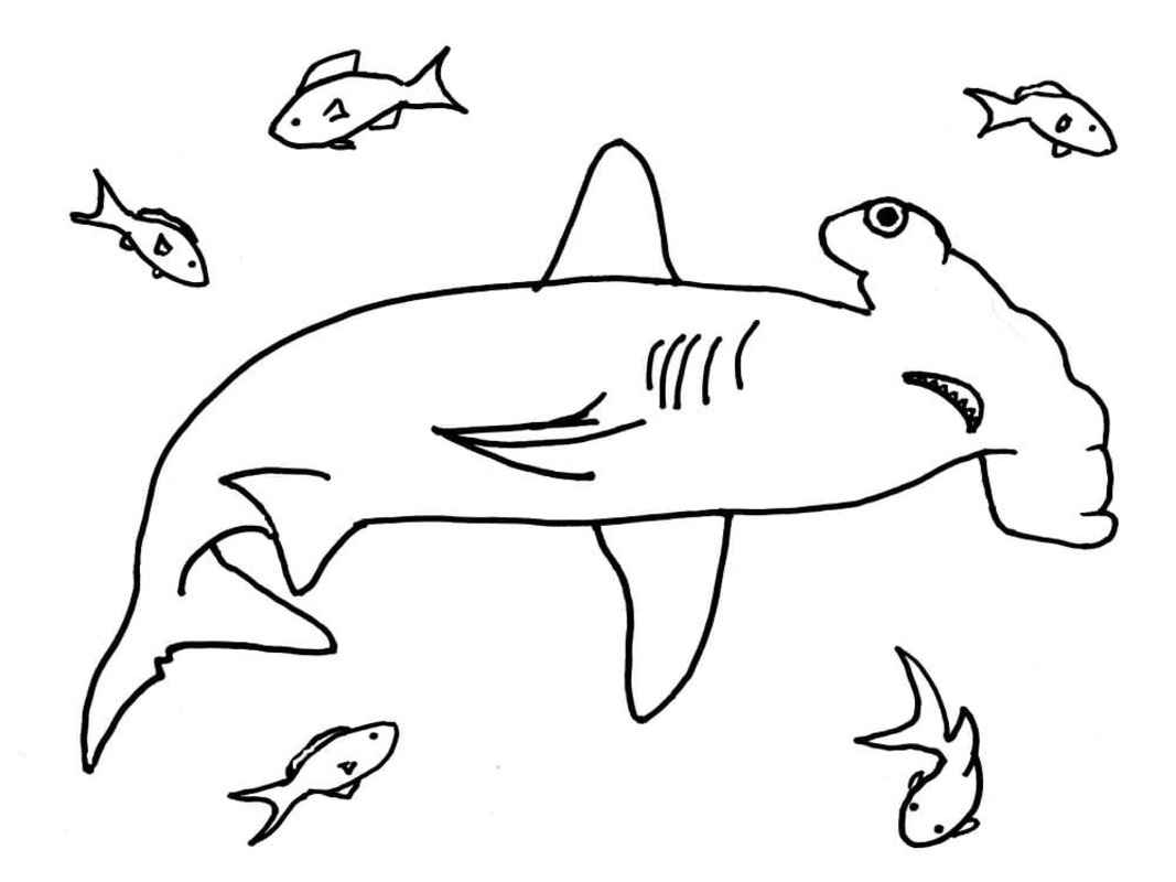 Hammerhead Shark Free Printable