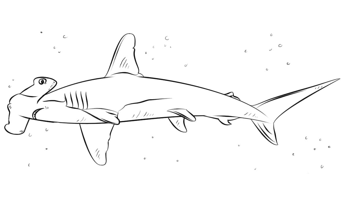 Hammerhead Shark Swimming Coloring Game Hammerhead Shark Swimming