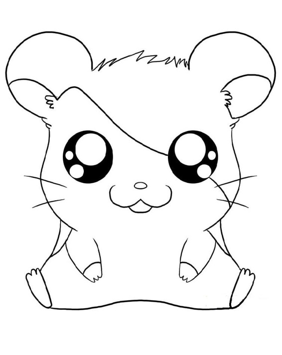 Hamtaro Basic