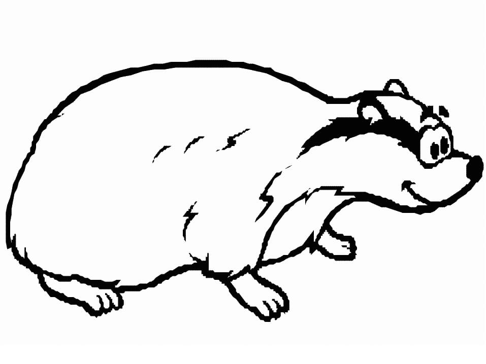Happy Badger Smiling Coloring Game Happy Badger Smiling
