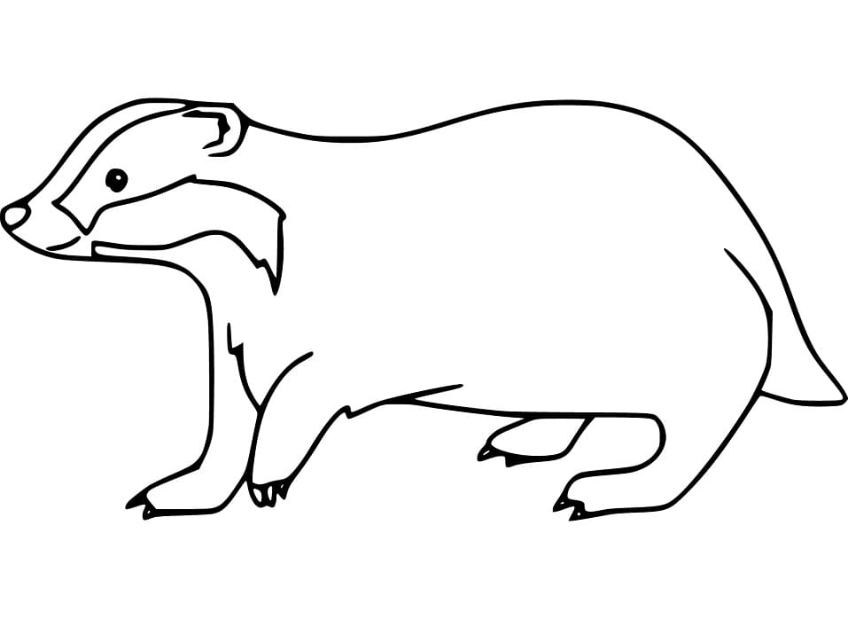 Happy Badger Coloring Game Happy Badger