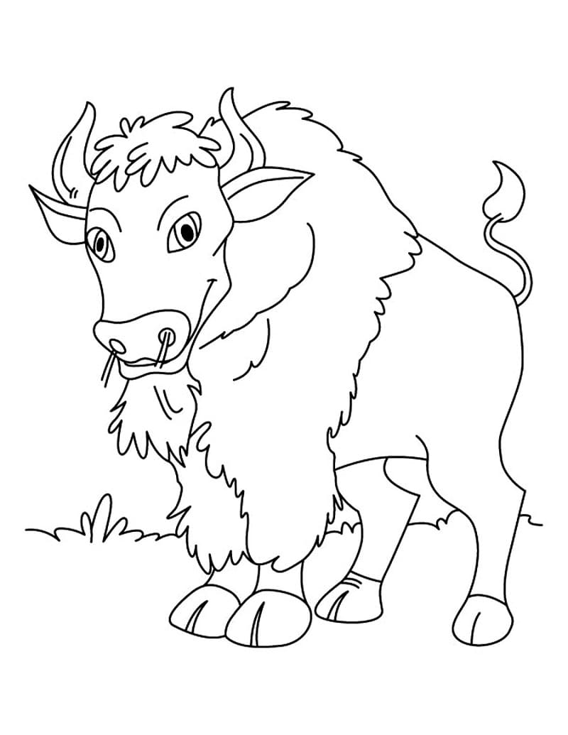 Happy Bison Coloring Game Happy Bison