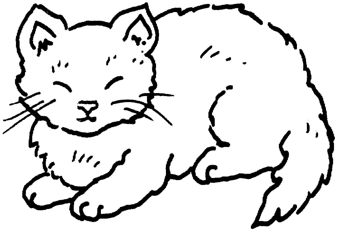 Happy Cat Coloring Game Happy Cat