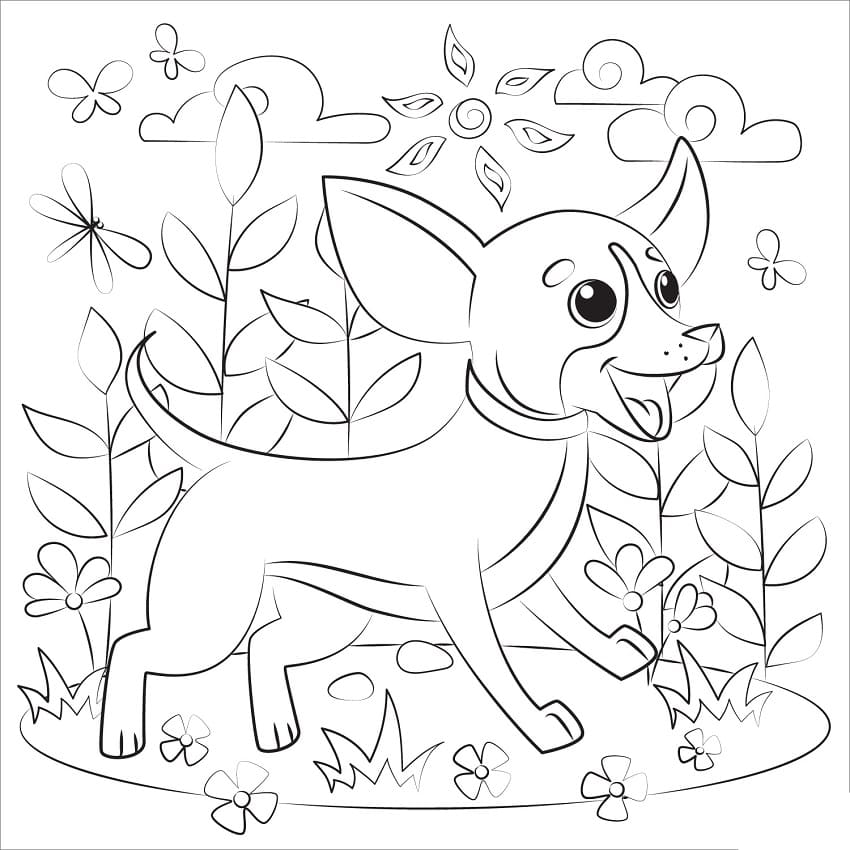 Happy Chihuahua Dog Coloring Game Happy Chihuahua Dog