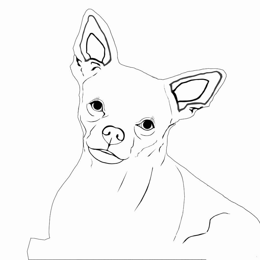 Happy Chihuahua Coloring Game Happy Chihuahua