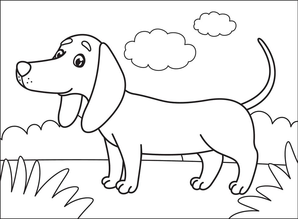 Happy Dachshund Coloring Game Happy Dachshund