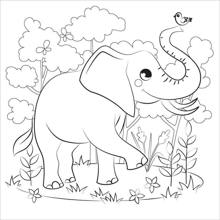 Happy Elephant and Bird Coloring Game Happy Elephant and Bird