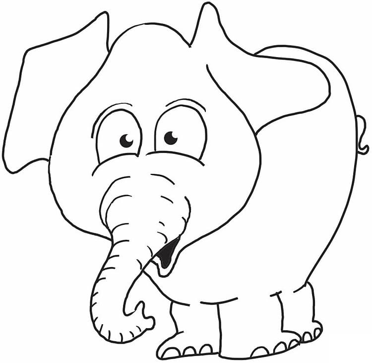 Elephant