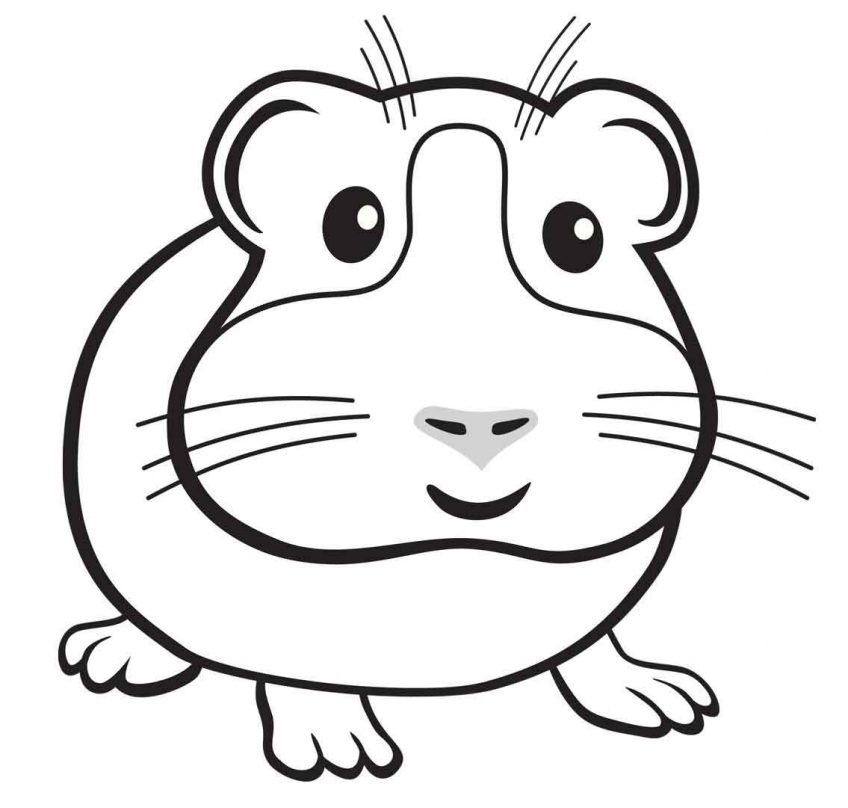 Happy Guinea Pig Coloring Game Happy Guinea Pig