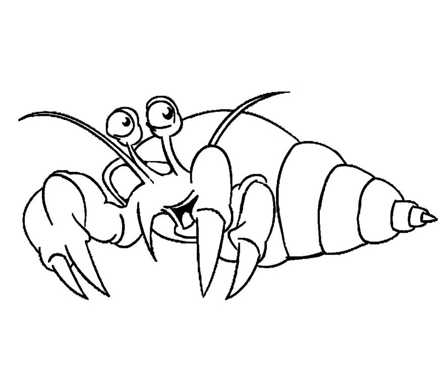 Hermit Crab and Star Fish Coloring - Play Free Coloring Game Online