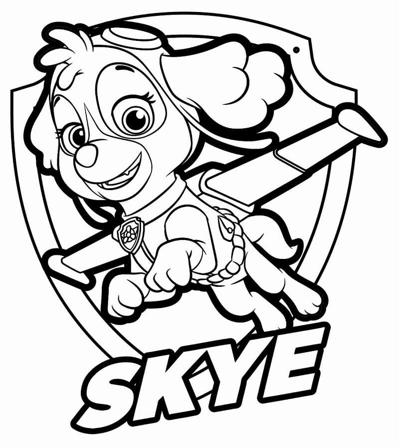 Happy Paw Patrol Skye