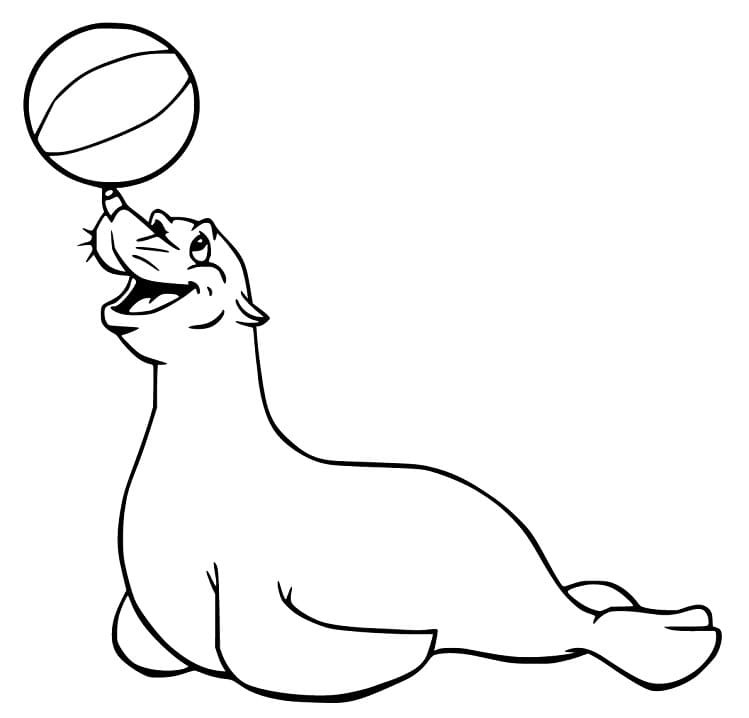 Happy Sea Lion Playing Ball Coloring Game Happy Sea Lion Playing Ball
