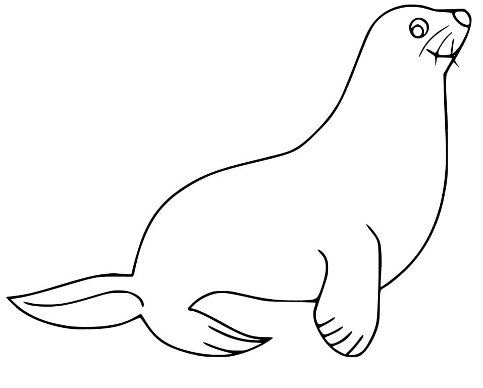 Happy Sea Lion Coloring Game Happy Sea Lion
