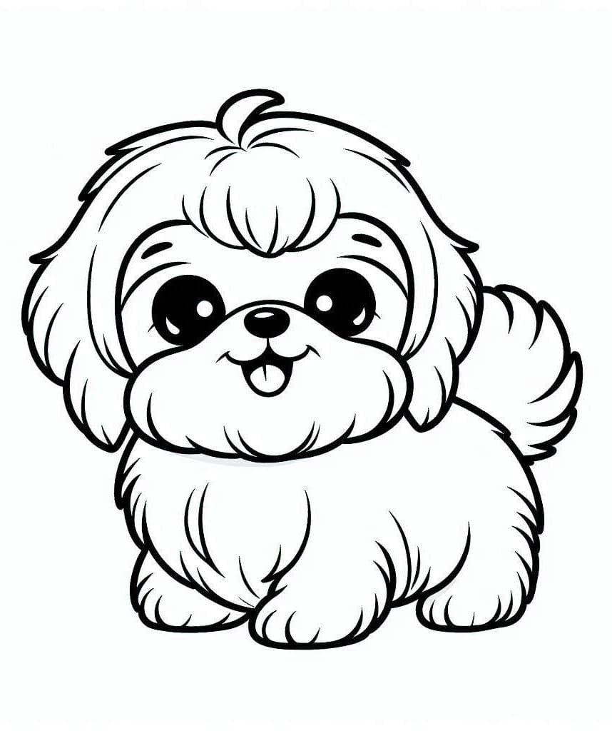 Happy Shih Tzu