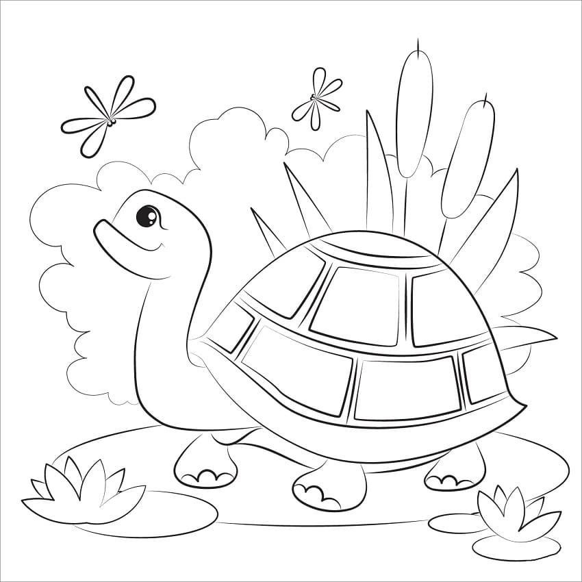 Happy Turtle Coloring Game Happy Turtle