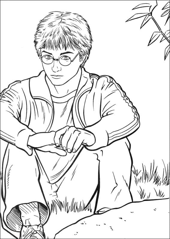 Harry Potter Sitting
