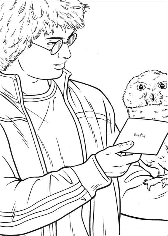 Harry Potter and Letter