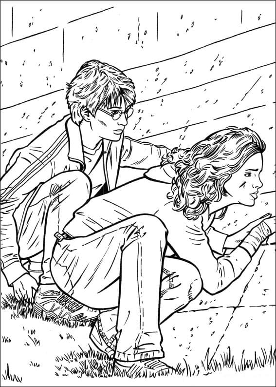 Harry with Hermione