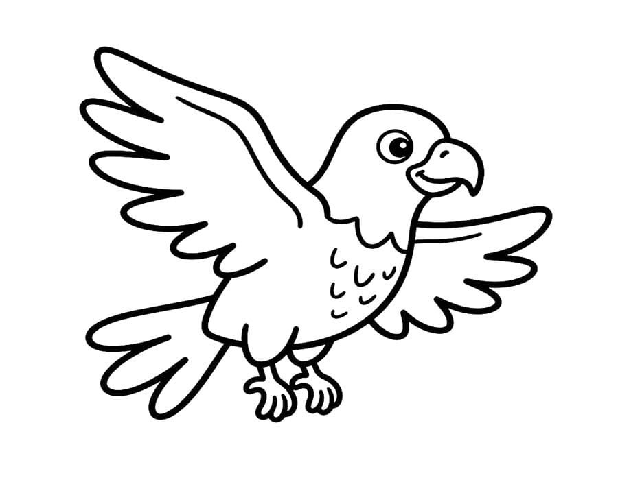 Hawk Simple