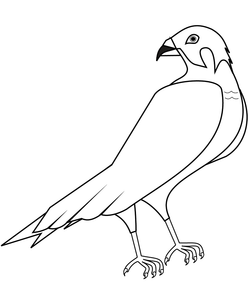 Goshawk Coloring - Play Free Coloring Game Online