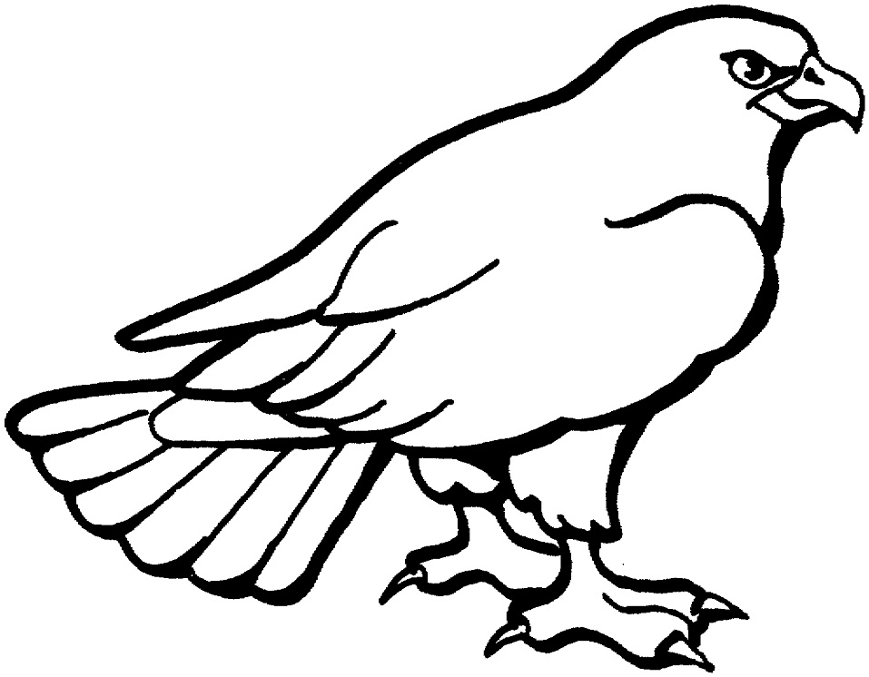 Hawk 2 Coloring - Play Free Coloring Game Online