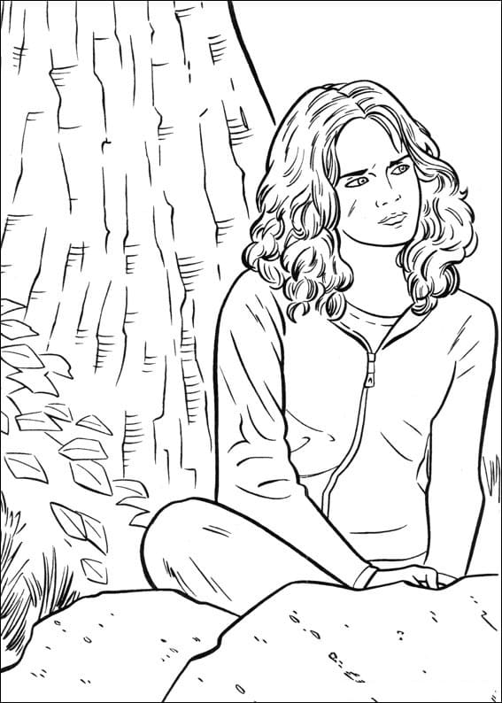 Hermione Granger from Harry Potter