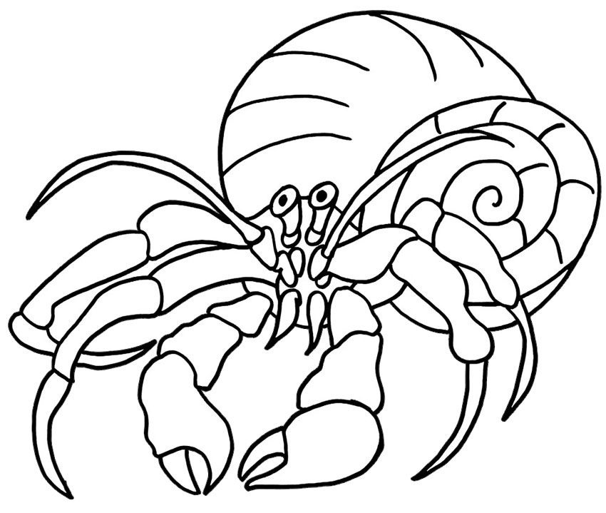 Hermit Crab 8 Coloring - Play Free Coloring Game Online