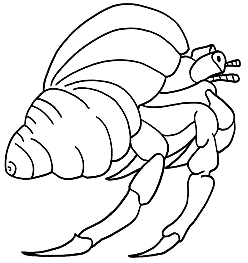 Hermit Crab 6 Coloring Game Hermit Crab 6