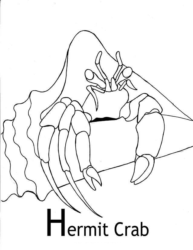 Hermit Crab 8 Coloring Game Hermit Crab 8