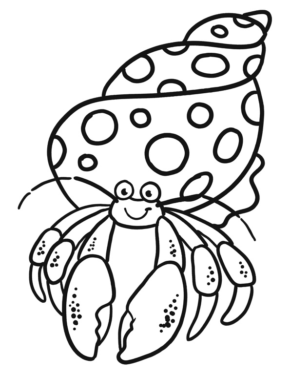 Hermit Crab Smiling Coloring Game Hermit Crab Smiling