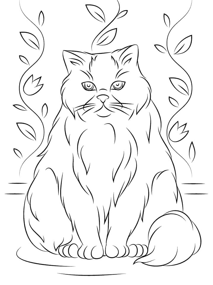 Himalayan Cat Coloring Game Himalayan Cat