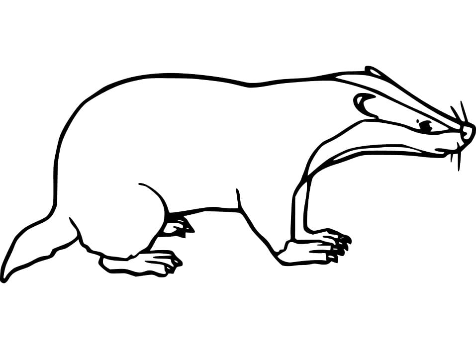Hog Badger Coloring Game Hog Badger