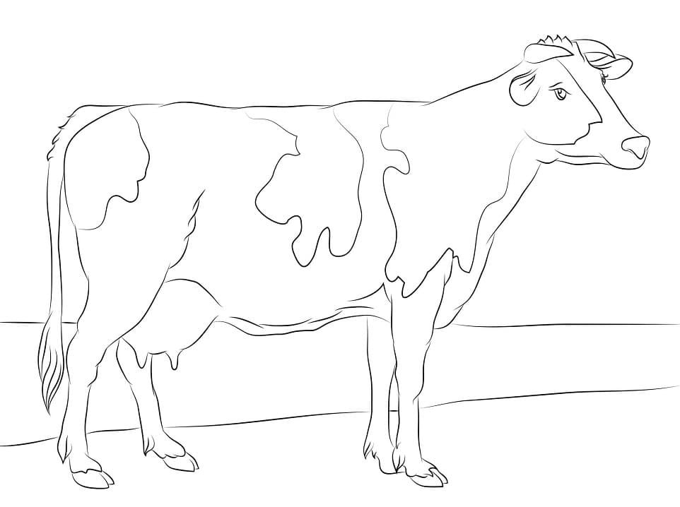 Holstein Cow Coloring Game Holstein Cow