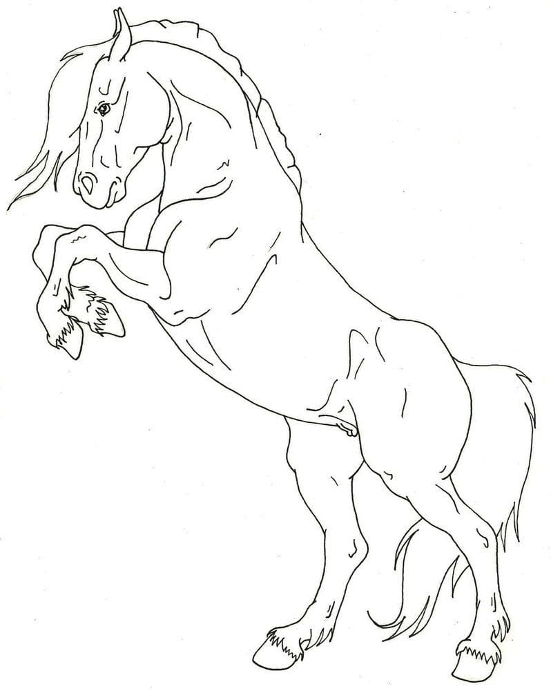 Horse 2