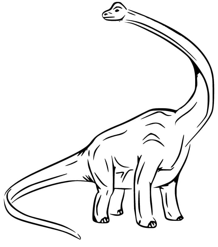 Huge Brachiosaurus