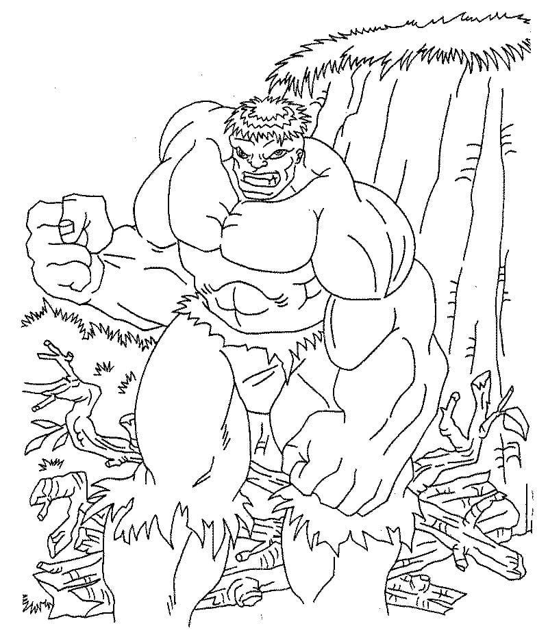 Hulk in the Forest Coloring Game Hulk in the Forest