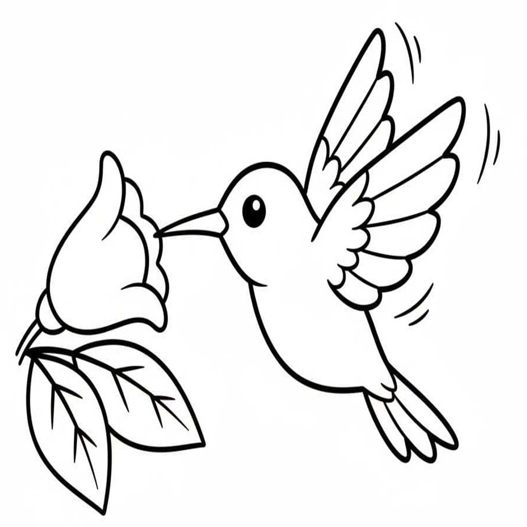 Hummingbird free for kids