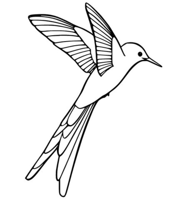 Hummingbird free printable