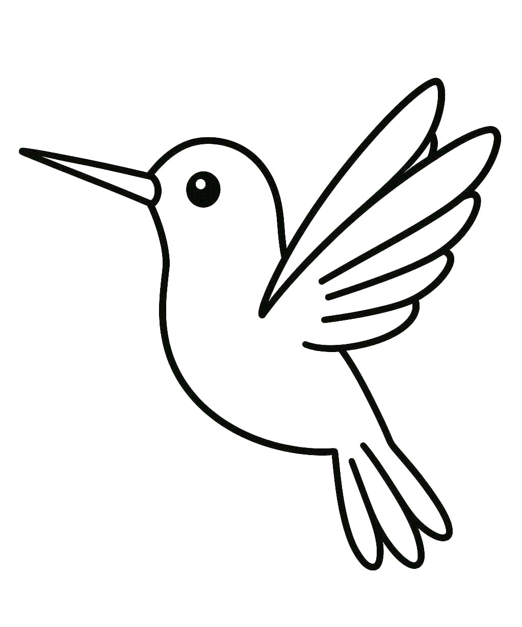 Hummingbird printable