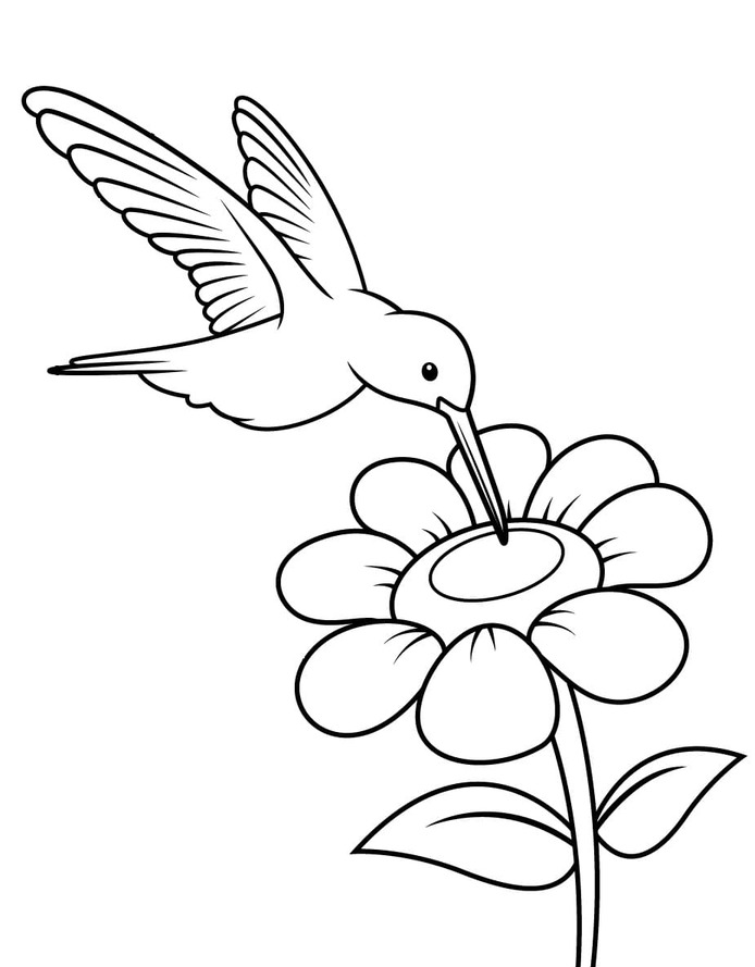 Hummingbird simple