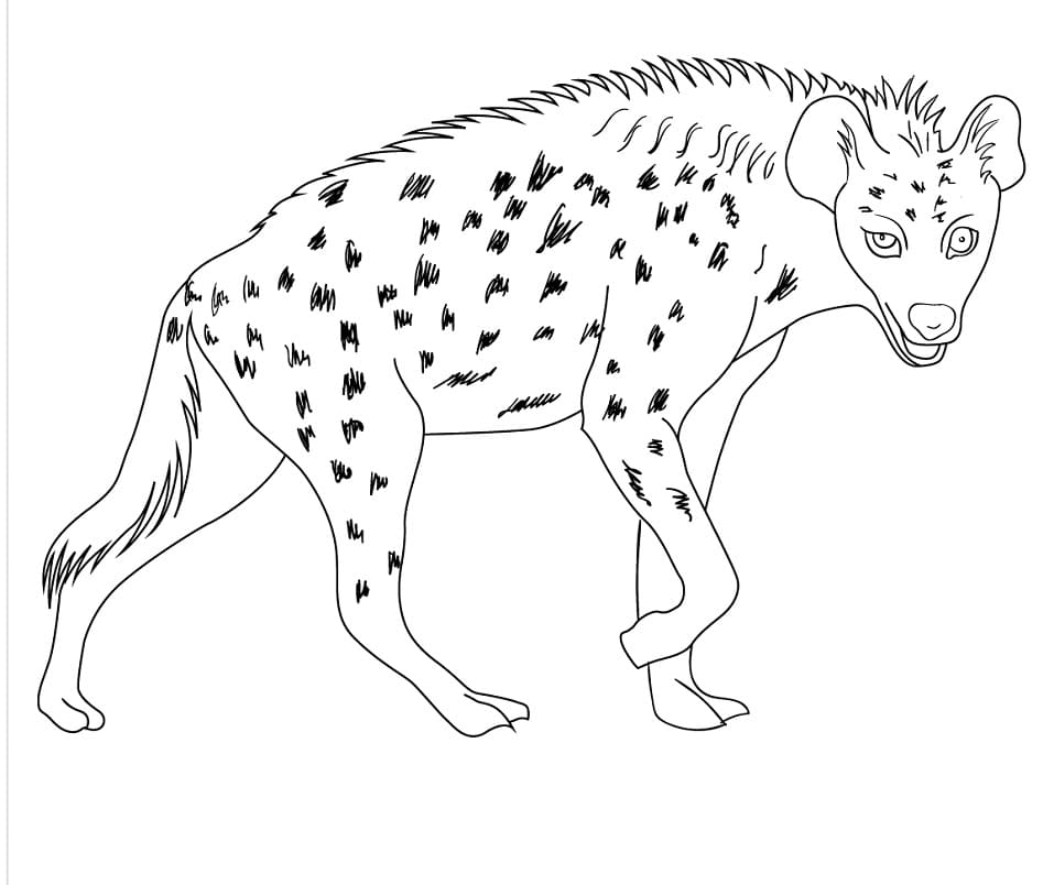 Hyena 1 Coloring Game Hyena 1