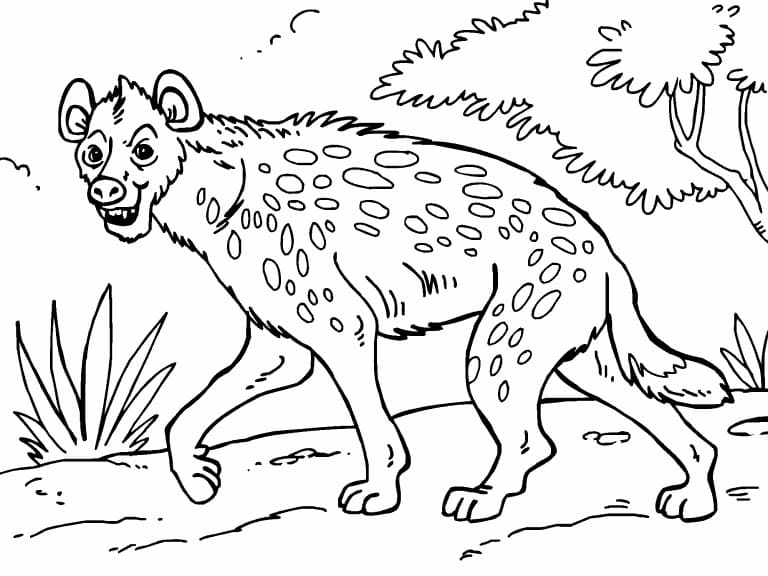 Hyena in the Wild Coloring Game Hyena in the Wild