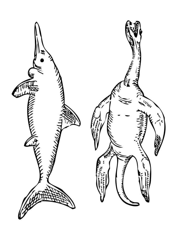 Ichthyosaur and Plesiosaurus
