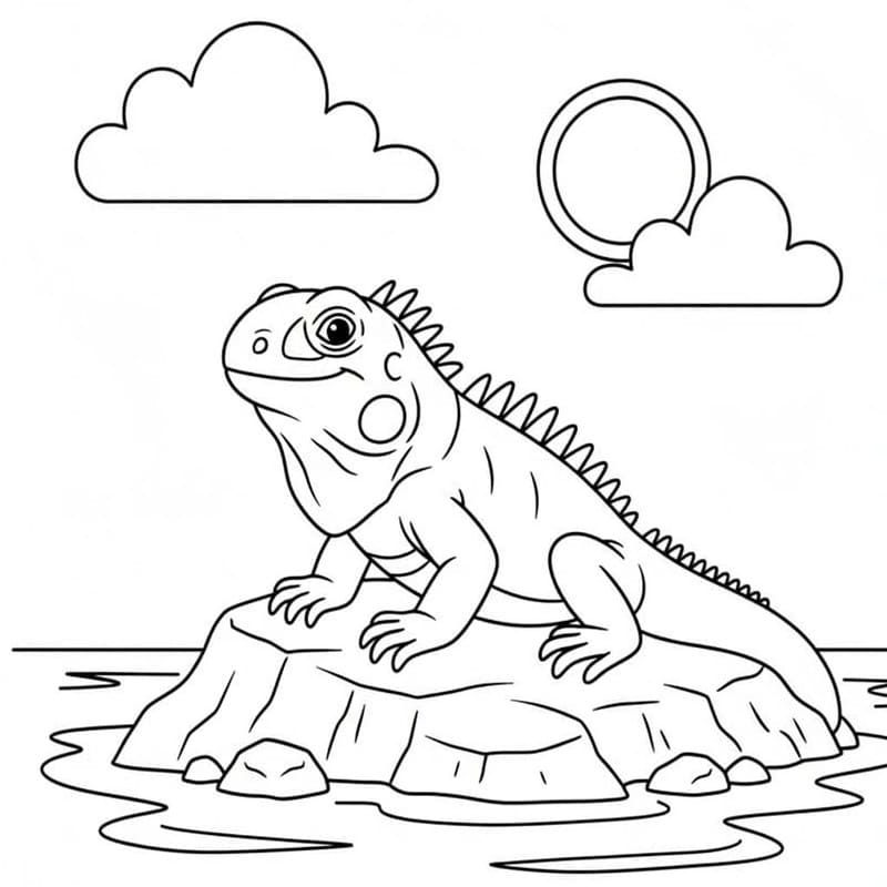 Iguana Easy